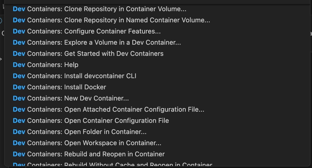 output dev container